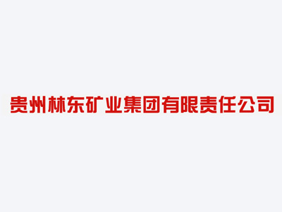 贵州林东矿业集团有限责任公司案例